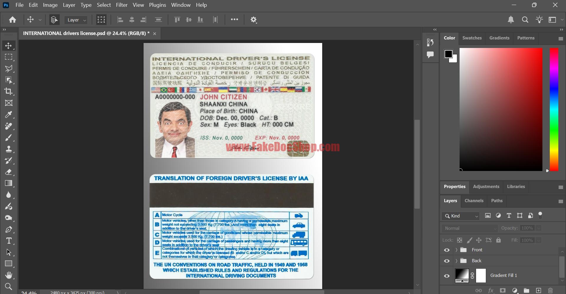INTERNATIONAL Driving License Template In PSD Format V1