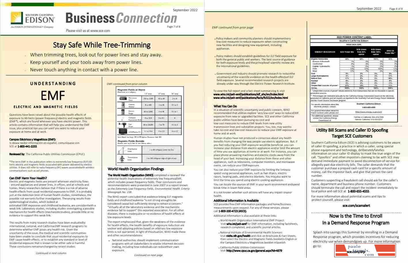 USA Southern California EDISON utility bill, Word and PDF template, 8 pages 7 8