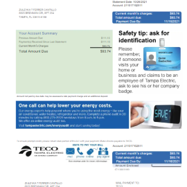 USA TECO utility bill Word and PDF template