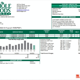 USA Whole Foods Market utility bill template in Word and PDF format