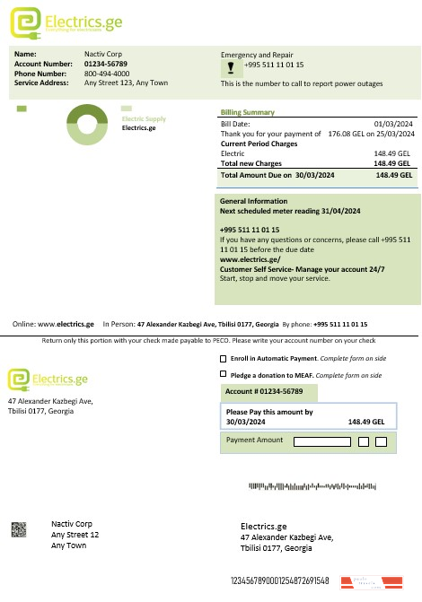 Шаблон счета за электроэнергию Georgia Electrics.ge в форматах Word и PDF1